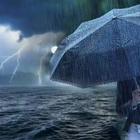 Hava