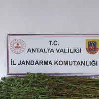 ASAYİŞ