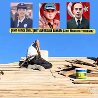 Özel
