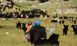 Alanya'da Yörüklerin Yayla Serüvenleri Başladı