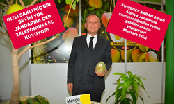 Alanya’da Pestisit İddialarında Flaş Gelişme: Ezici Gözaltına Alındı!