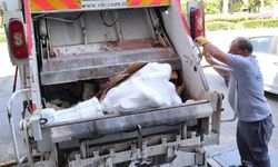 Antalya Otobüs Terminali'nde Ele Geçirilen 700 Kilogram Kaçak Peynir Çöp Kamyonuyla İmha Edildi