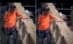 Karga İle Dertleşen Vatandaş: "Faturalar Mı, Kanatlar Mı Daha Ağır?"