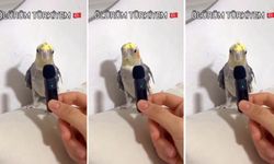 Muhabbet Kuşunun “Ölürüm Türkiyem” Performansı Sosyal Medyayı Fethetti