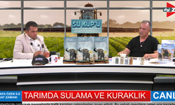 Tarımda Nanomolekül Devrim: Su Küpü İle Üretimde %50 Tasarruf Dönemi
