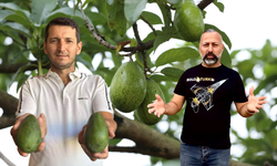 “Başkan Fena Yakalandı” Kenya Menşeli Avokado İddiası Alanya’yı Karıştırdı