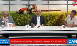 Alanya’da İthal Avokado Tartışmaları Hız Kesmeden Devam Ediyor