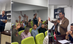 Alanya’da Avokado Üreticileri Arasında Kilo-Adet Krizi: Kazanç Hesapları Gerilimi Artırdı