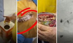 Gaziantep’te Pastaneye Yapılan Denetimde Şok Görüntüler!