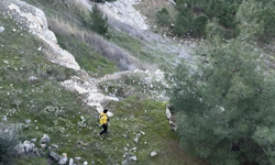 Hafta Sonu Yürüyüşü Kabusa Döndü