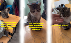 Soğuktan Kaçan Minik Misafir Sivas’ta Okula Girdi