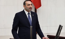 CHP’li Aykut Kaya’dan Tropikal Meyve Uyarısı: “Üretici Maliyetine Üretim Yapıyor, Ayakta Kalması Mümkün Değil”