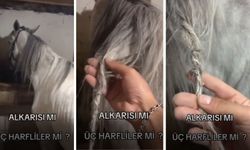 Gece Yarısı Tüyler Ürperten Keşif: Atın Yelesi Örülmüş Halde Bulundu