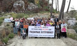 Kadına Yönelik Şiddete Karşı Dayanışma Ormanı Büyüyor