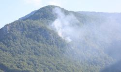 Alanya'da Dağlık Bölgede Çıkan Orman Yangını Kısa Sürede Kontrol Altına Alındı