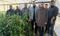 CHP'li Vekil Aykut Kaya: ''Antalya’da Biber Dalında Kalıyor''