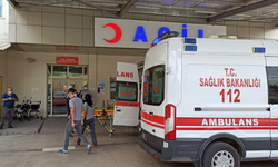 Alanya’da Aile Dehşeti: Yeğenlerine Ateş Açtı, İnt*hara Kalkıştı