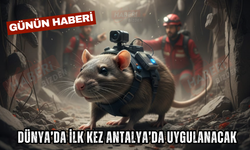 Dünya'da Bir İlk! Kahraman Fareler Antalya’da Enkaz Altında Can Kurtaracak