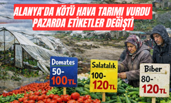 Alanya’da Kötü Hava Tarımı Vurdu Pazarda Etiketler Değişti