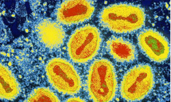 Alanya’da Suçiçeği Vakalarında Artış