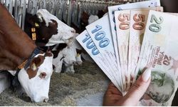 Çiftçiye Mazot Ve Gübre Desteği, Hayvancılığa Hayvan Başı Teşvik: Tarımda Yeni Destek Paketi