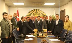 Alanya’nın Keçiboynuzu Dünya Pazarına Açılıyor