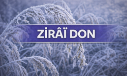 Tarımda Yeni Model Önerisi: Sürdürülebilir Gıda İstikrar Fonu Gündemde
