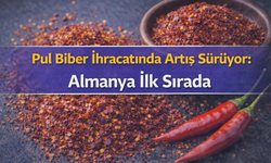 Pul Biber İhracatında Artış Sürüyor: Almanya İlk Sırada