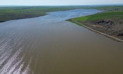 38 Yılın Yağış Rekoru Çiftçiye Umut Oldu: Alanya Tarımı Sezona Güçlü Giriyor
