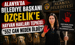 Alanya’da Belediye Başkanı Özçelik'e Hayvan Hakları Tepkisi: “552 Can Neden Öldü?”