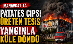 Manavgat’ta Patates Cipsi Üreten Tesis Çıkan Yangında Küle Döndü
