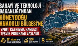 Güneydoğu'ya 301 Milyonluk Kalkınma Desteği: 9 İlde Dev Yatırım Hamlesi Başlıyor