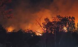 Beykoz'da Küllenen Orman Yeniden Alevlendi: Ekipler Zamana Karşı Savaşıyor