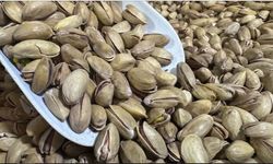 Fıstık İhracatı İlk Çeyrekte 32,8 Milyon Dolara Ulaştı