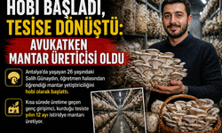 Avukatlığı Bıraktı, Mantarda Başarıyı Yakaladı: Antalya’da İlham Veren Girişim