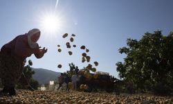 Aşırı Sıcaklık Uyarısı Alanya Ve Antalya İçin Risk Büyüyor