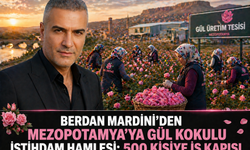 Berdan Mardini’den Mezopotamya’ya Gül Kokulu İstihdam Hamlesi: 500 Kişiye İş Kapısı