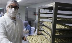 Kadınların Ürettiği Mantılar Türkiye’nin Dört Bir Yanına Gönderiliyor