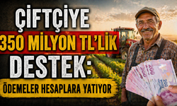 Çiftçiye 350 Milyon TL’lik Destek: Ödemeler Hesaplara Yatıyor