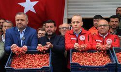 Sezonun İlk Kirazı 6 Bin TL’den Alıcı Buldu