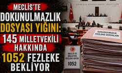 Meclis'te Dokunulmazlık Dosyası Yığını: 145 Milletvekili Hakkında 1052 Fezleke Bekliyor