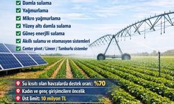 Tasarruflu Sulama ve Kırsal Kalkınma Destekleri Üreticiye Can Suyu Oluyor