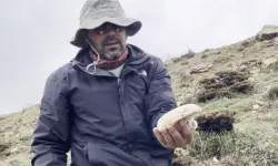 Erzincan’da Çaşır Mantarının Kilosu 2 Bin Liraya Yükseldi