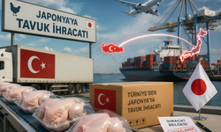 Japonya’daki Tedarik Krizi Türk Kanatlı Sektörüne Kapı Araladı