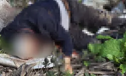 Başından Vurulmuş Halde Bulunmuştu: Cinayet Zanlısı Suçunu İtiraf Etti