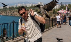 Antalya’da Turiste Kargaların Saldırısı