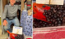 Şirince’de Zeytinin Tanesi 50 TL’ye Satıldı