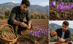 Genç Girişimciden Alternatif Tarım Hamlesi: Salep ve Safran Ekti