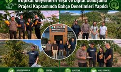 Alanya Tropikal Meyvelerinin Yeşil ve Dijital Dönüşümü Projesi kapsamında yürütülen saha çalışmalarıyla, bölgedeki tropi