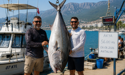 Antalya’da Dev Akya Heyecanı: 56 Kiloluk Balık Yakalandı